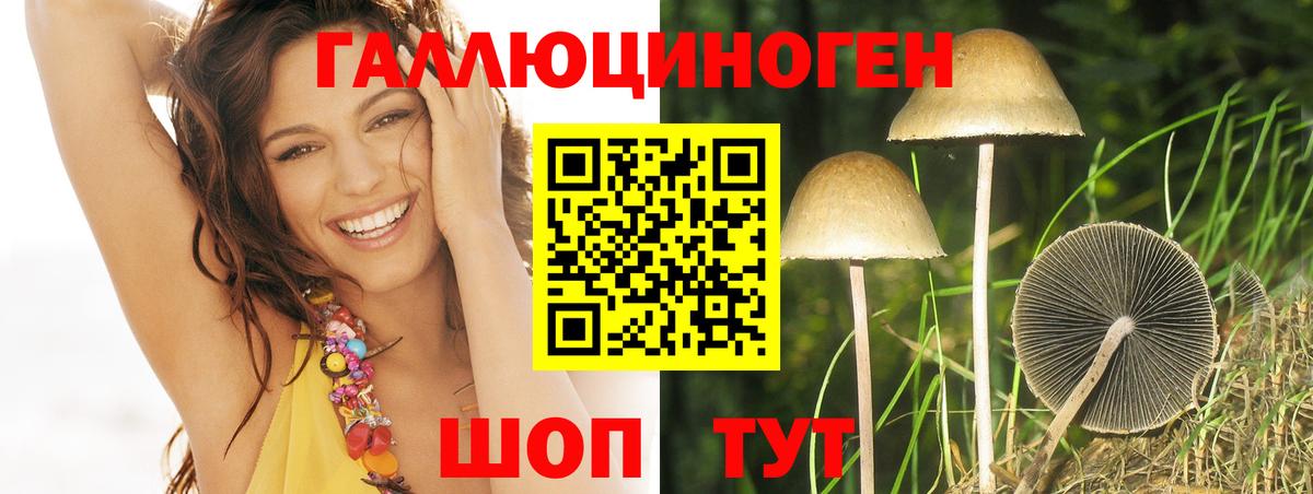 Кириши  Псилоцибиновые грибы ЛСД  Вход с VPN 